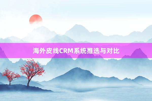 海外皮线CRM系统推选与对比