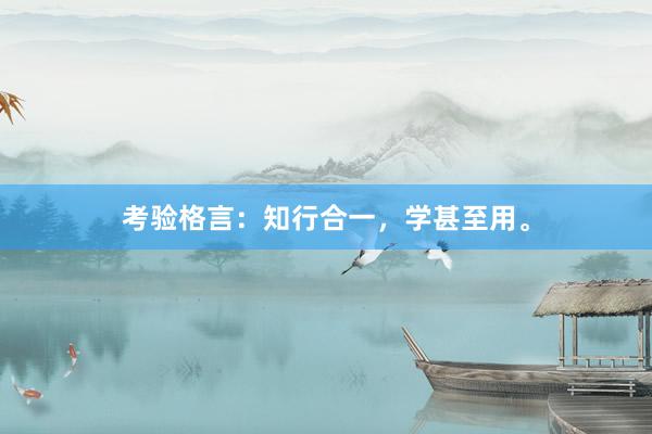 考验格言：知行合一，学甚至用。